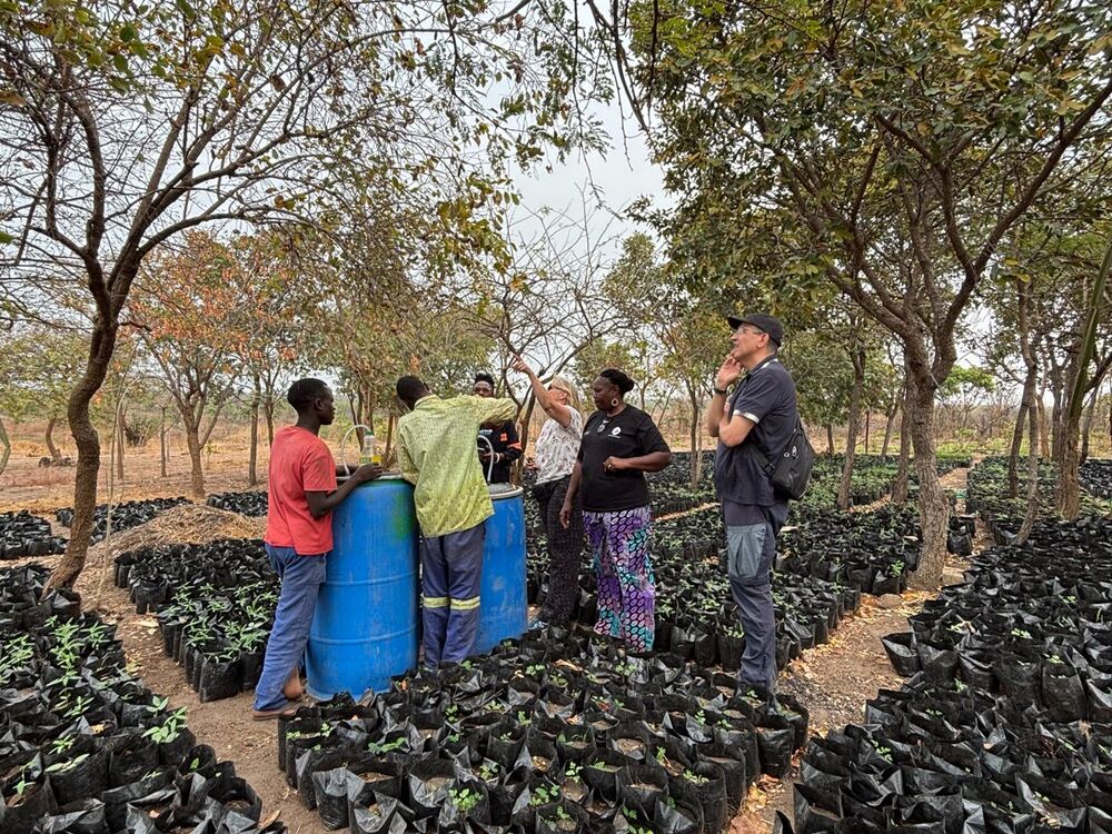 Five people stand in a tree nursery around blue barrels, surrounded by rows of small plants in black bags