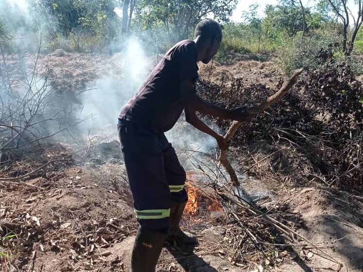 A man in work clothes pushes a branch into a small fire to clear dry brush from a field