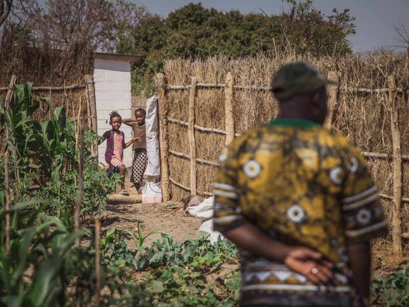 Children look curiously into a well-protected vegetable garden