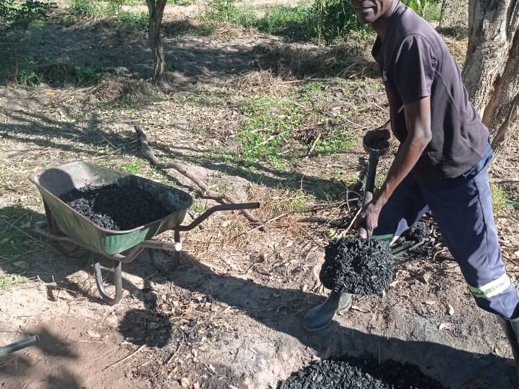 A man shovels dark granular material, likely biochar, from a pile on the ground into a green wheelbarrow outdoors