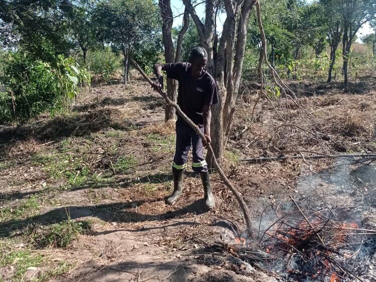 A man in boots and work clothes stokes a small fire of branches and leaves with a long stick in a dry natural setting