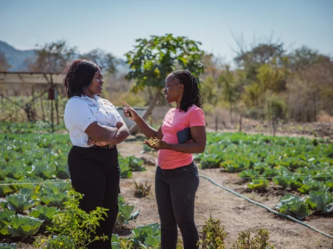 Two women converse in a vegetable garden with rows of cabbage, one gesturing while holding keys and plant material, the other listening