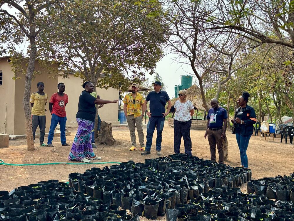A group of people stands in a tree nursery with many young plants in black bags on the ground, a woman gestures
