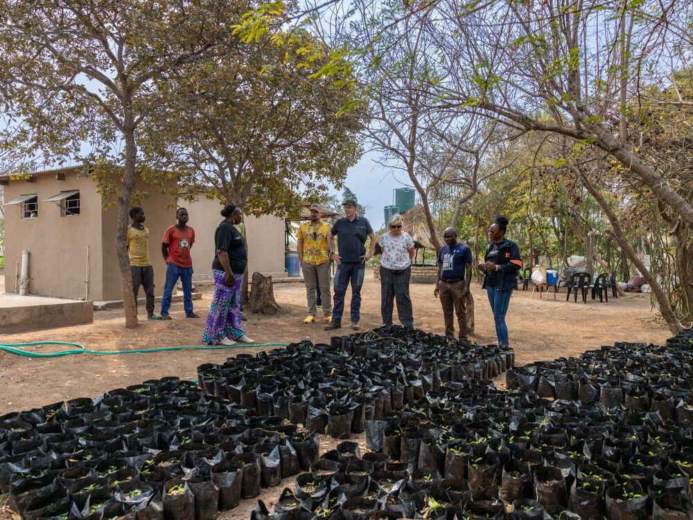 A group of people stands in a tree nursery in front of rows of young plants in black plastic bags, with buildings and trees in the background